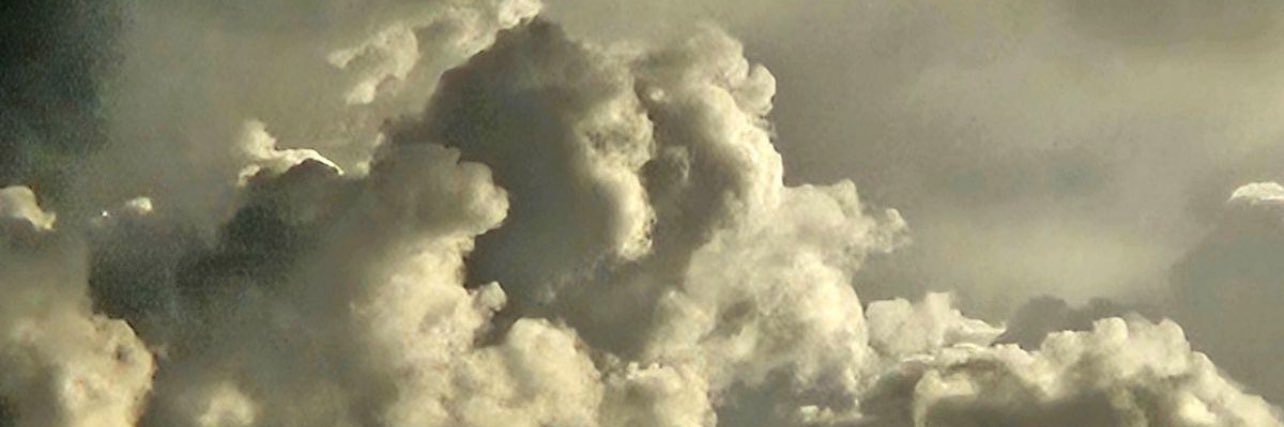 @stweetleigh🇺🇦 🇮🇱 banner