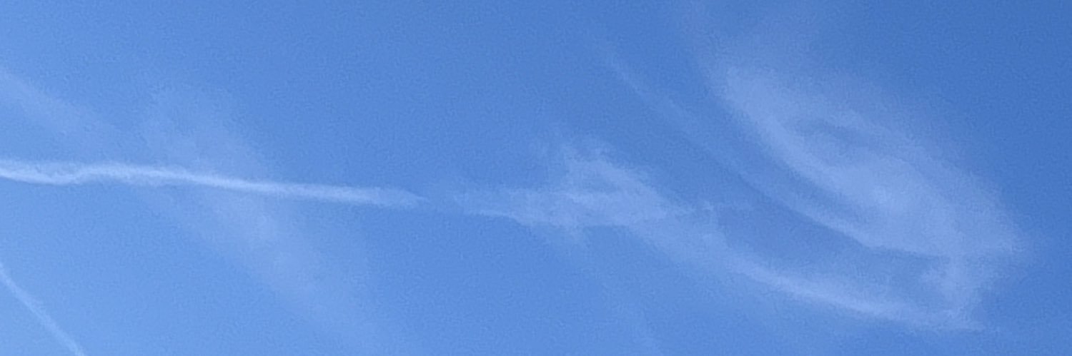 Cusilda's profile banner image
