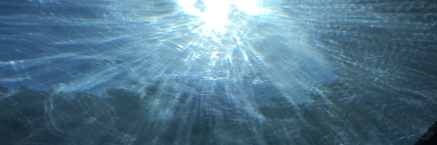 RTallarigo's profile banner image