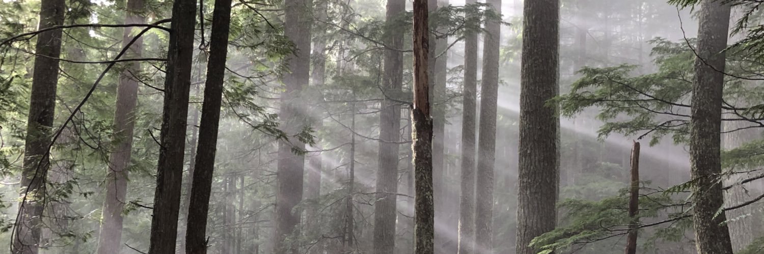 aaronmtrent's profile banner image
