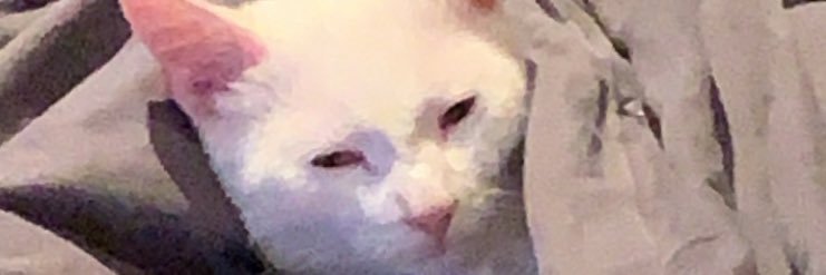 MSemizz's profile banner image