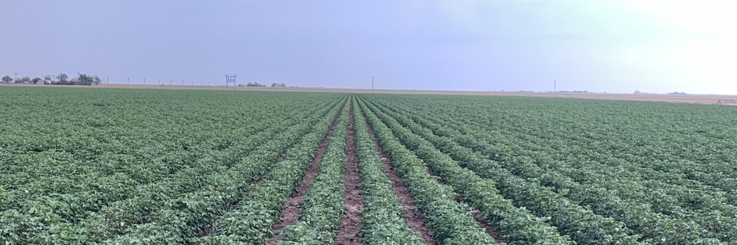 Grainger Fischbacher banner