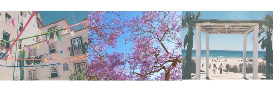 CharlieSpencer7's profile banner image