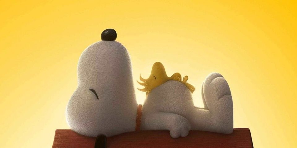 Roberto muñoz m banner