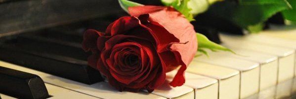 VoceBellaMusic's profile banner image