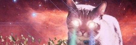 Char_Felinefine's profile banner image