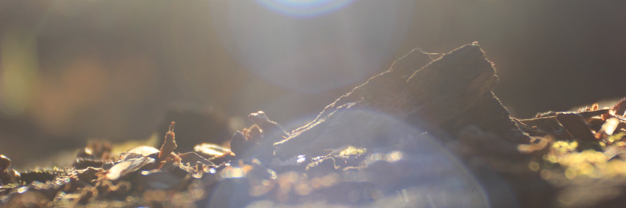 TimKief's profile banner image