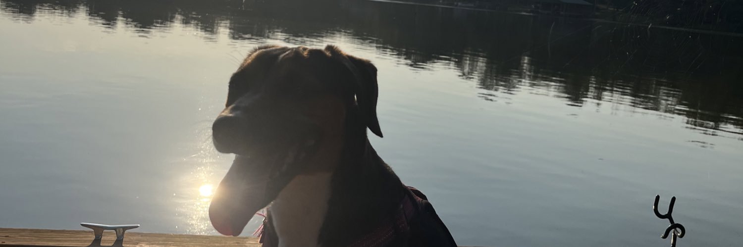 nesssald's profile banner image