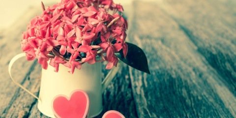 🌍 Davinder phullar 💐 banner