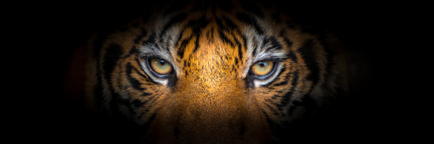 STJ Activities/Athletics banner