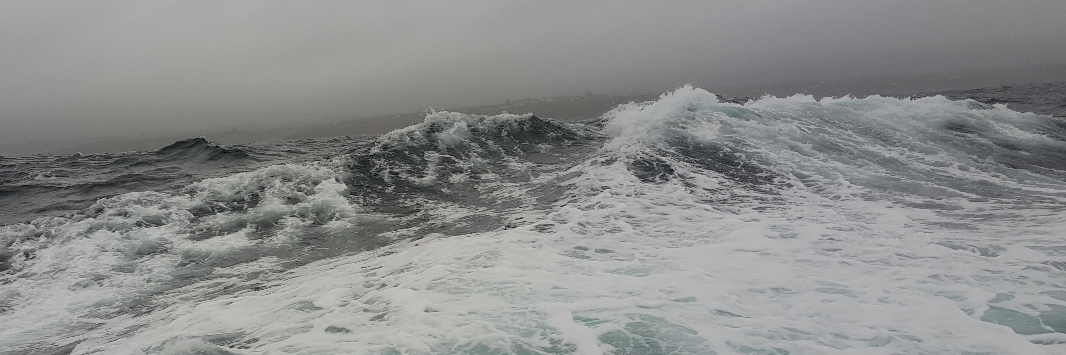 Karim Si-Tayeb banner