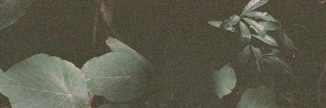 revolutionarygi's profile banner image