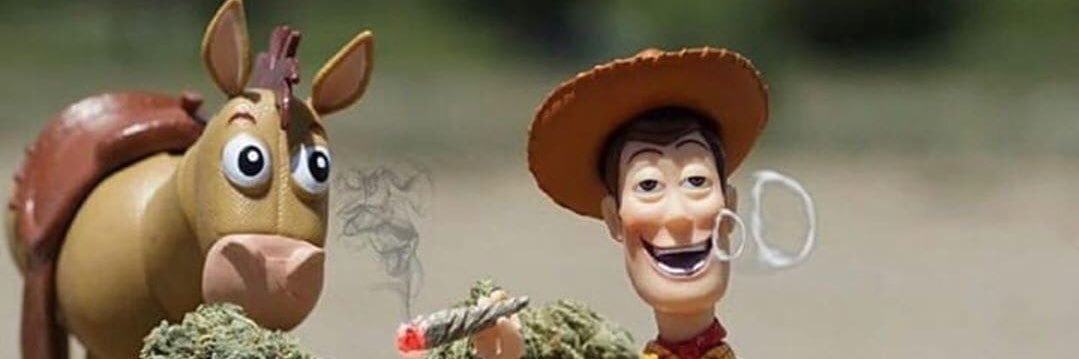 crivaslu's profile banner image