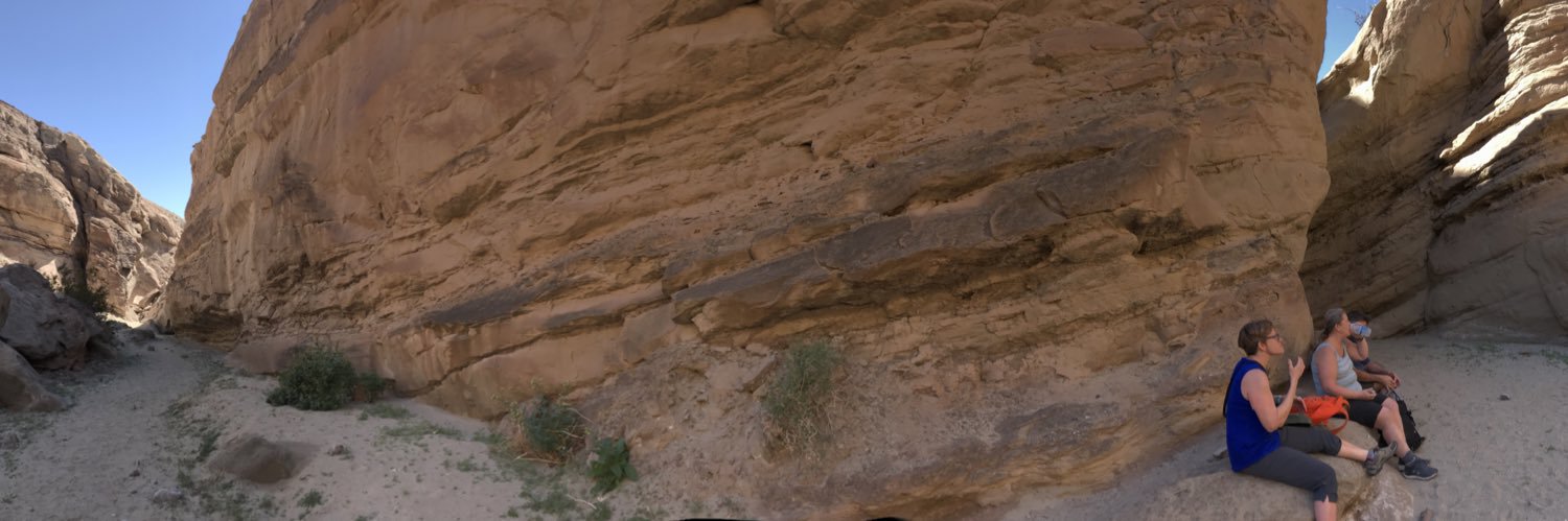 traceegee's profile banner image