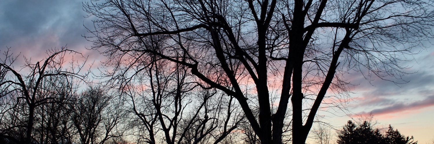 erin_griffis's profile banner image