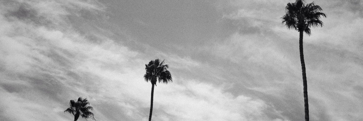 Chris Bartolucci banner