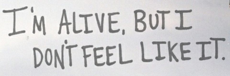KittyKittySEB's profile banner image
