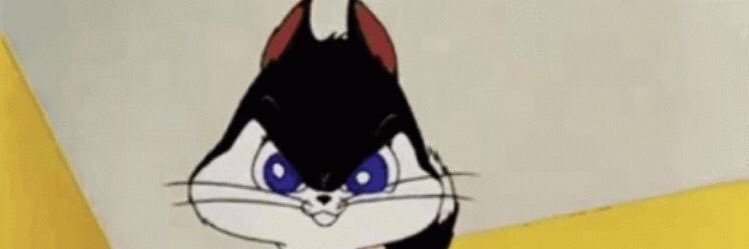 MonseCp's profile banner image