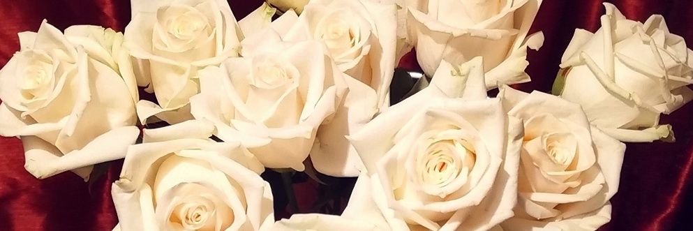 LovelyCDS's profile banner image