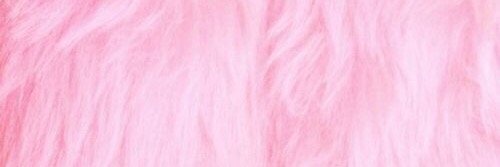 inesdiaz1's profile banner image