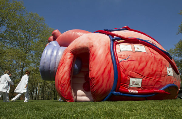 MEGAInflatables's profile banner image
