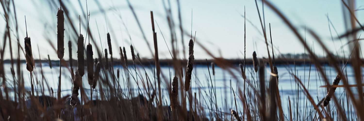 Severin Di Croce banner