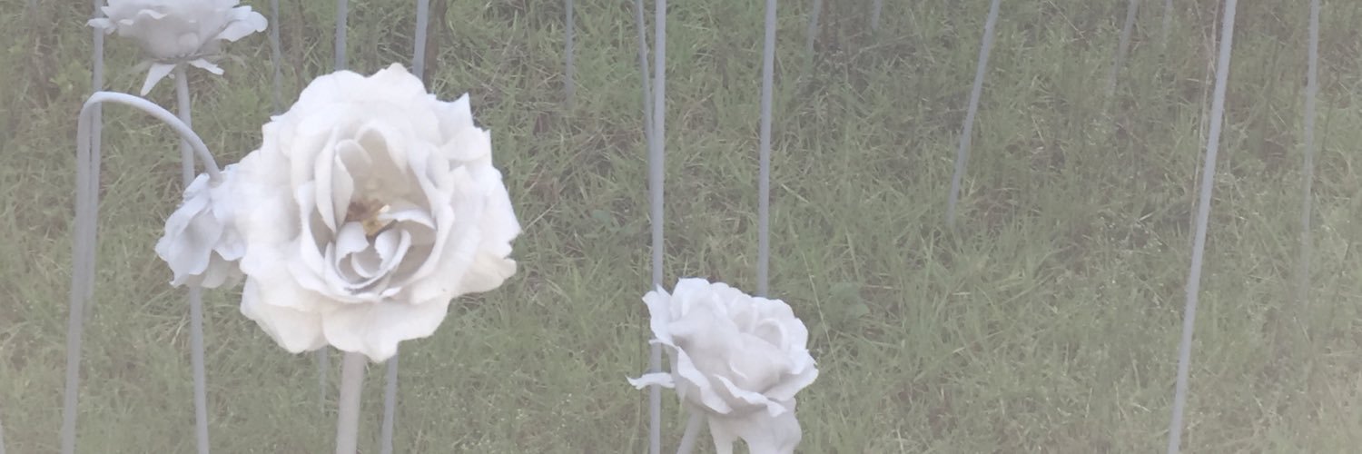 peco__candy's profile banner image