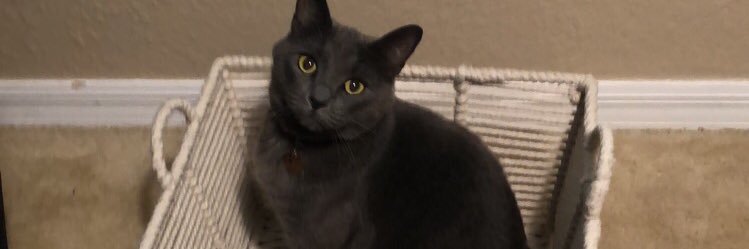 MackenzieMaike's profile banner image