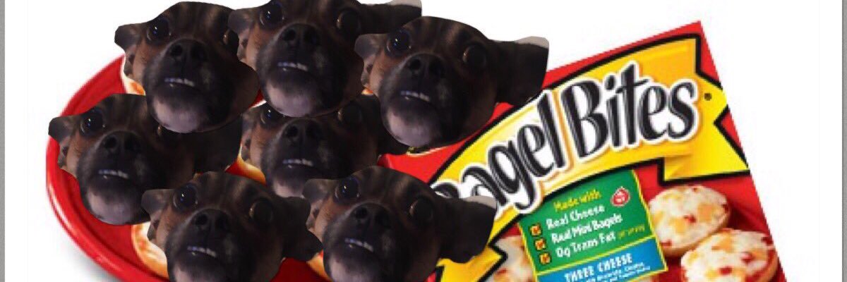 abbykjay's profile banner image