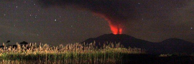 Leopold Kennedy Adam banner