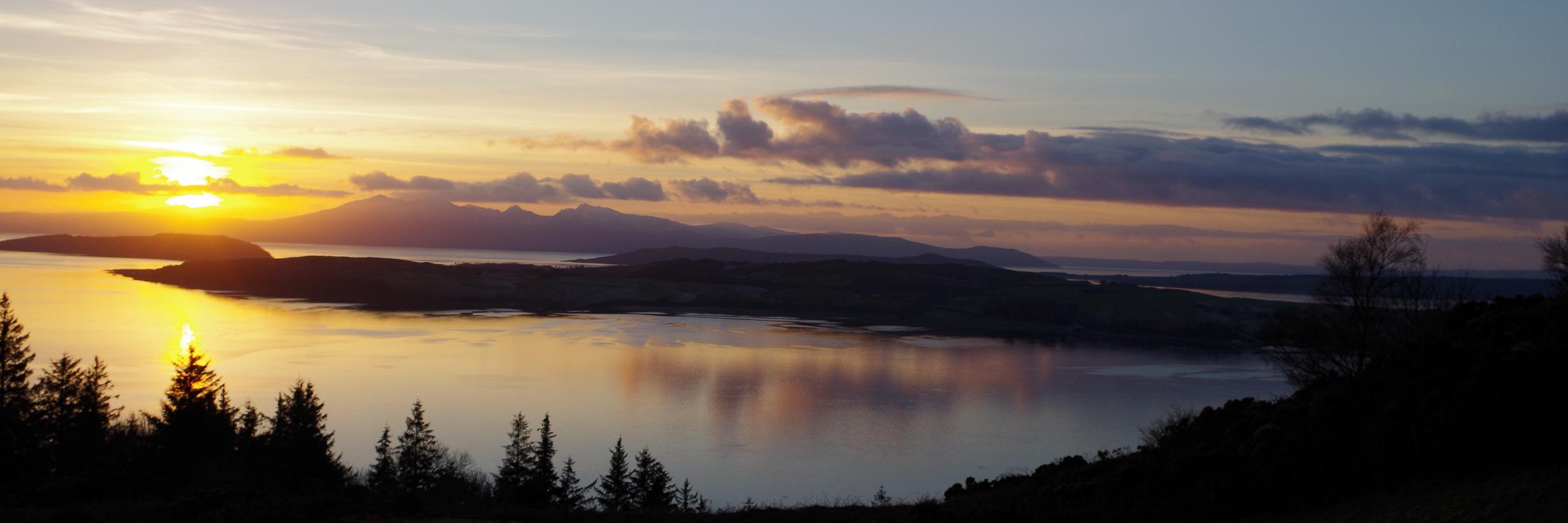 Erica Edwards banner