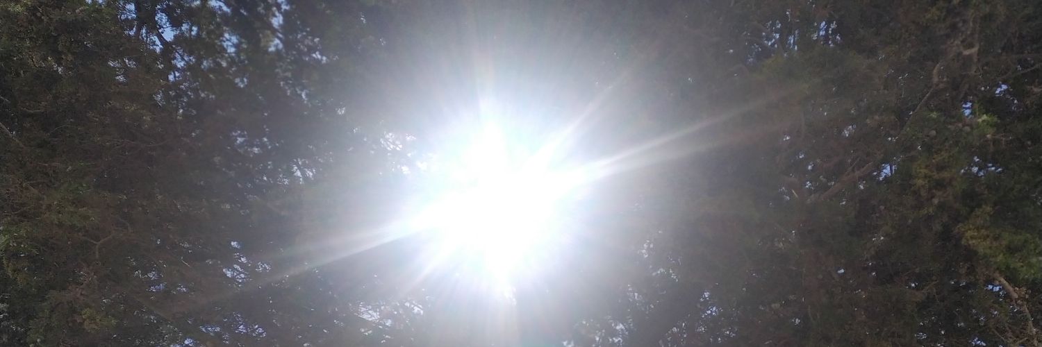 rossdinalys's profile banner image