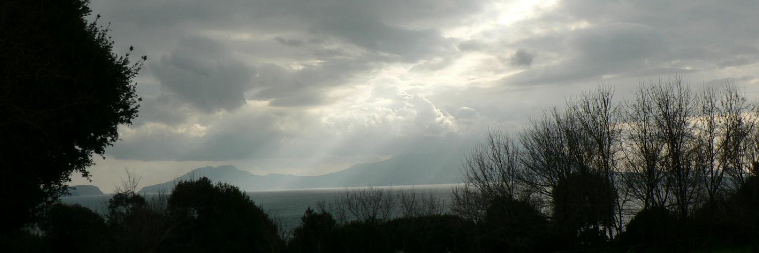 dkeenanj's profile banner image