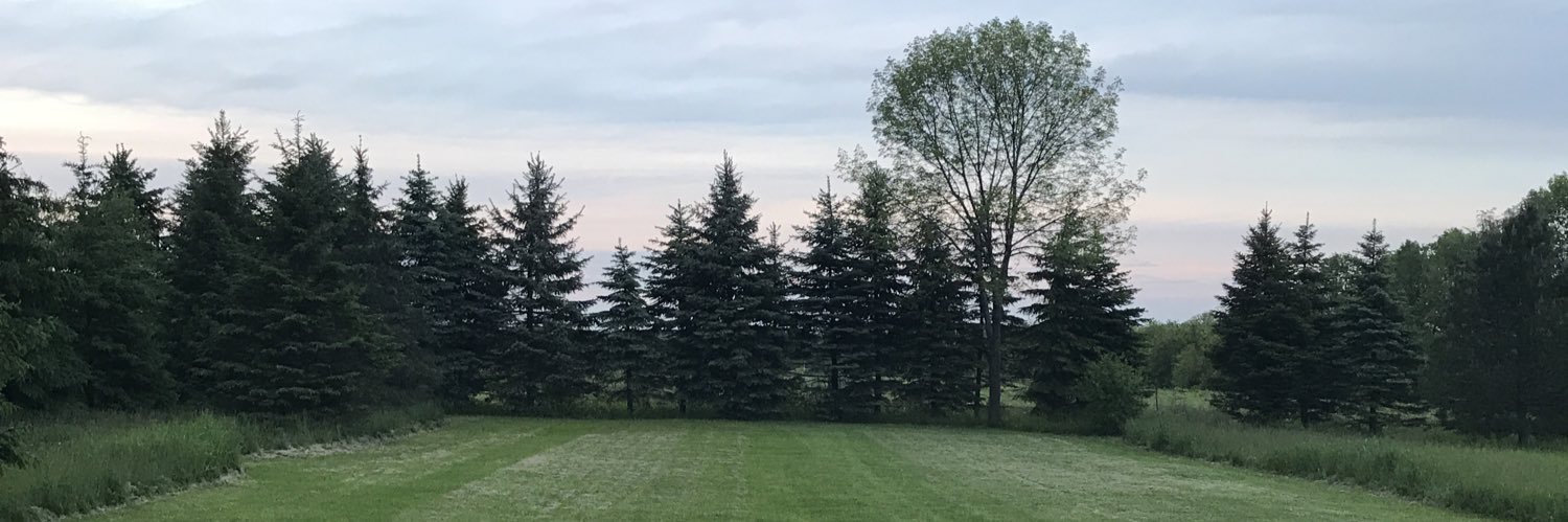 TimoLindsey's profile banner image