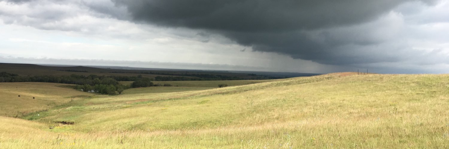 treydfoster's profile banner image