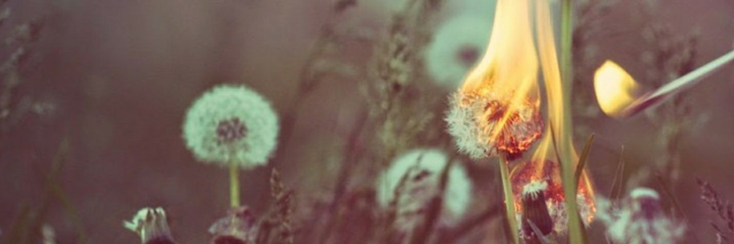 NaomiBuszko's profile banner image