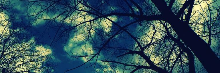 bisection's profile banner image