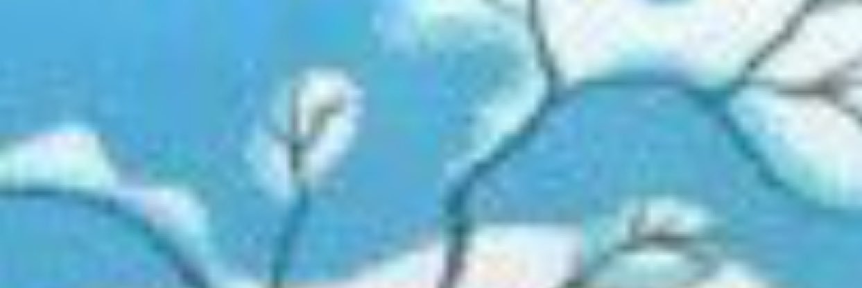 RoseC_G_'s profile banner image