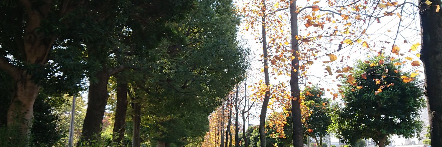 fudayuk's profile banner image