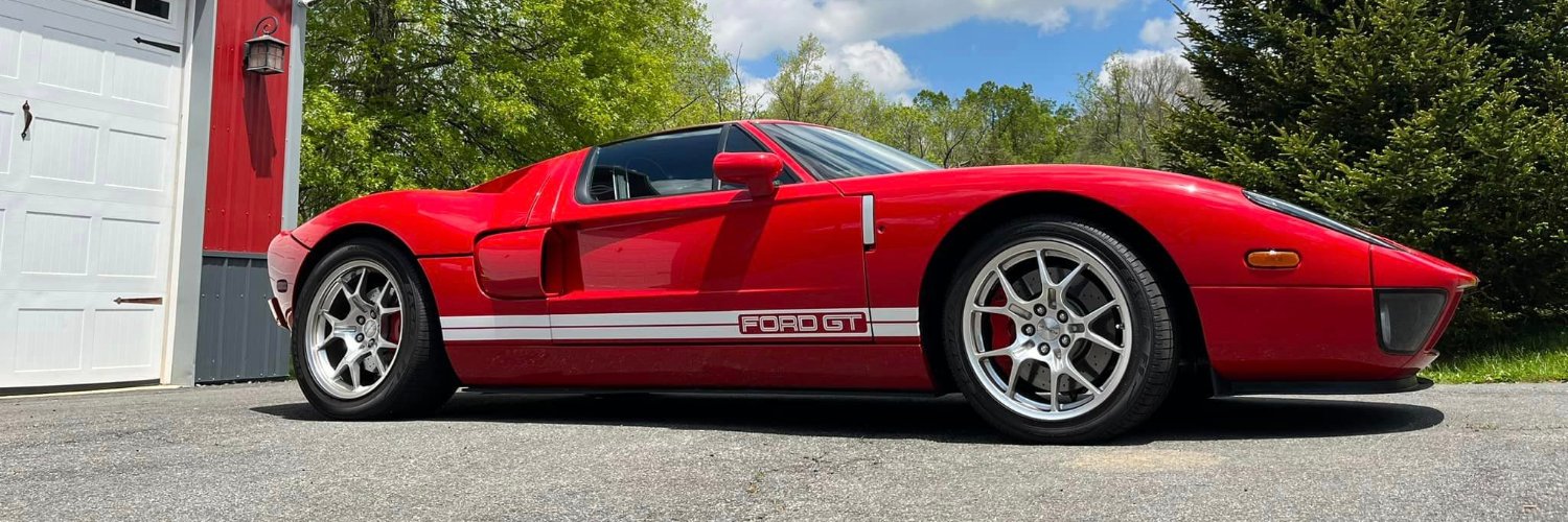 Dodgestang banner