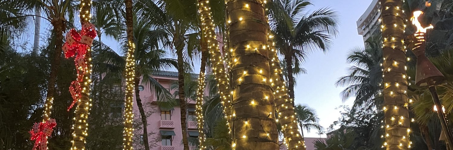 Kinsey Neiderer banner