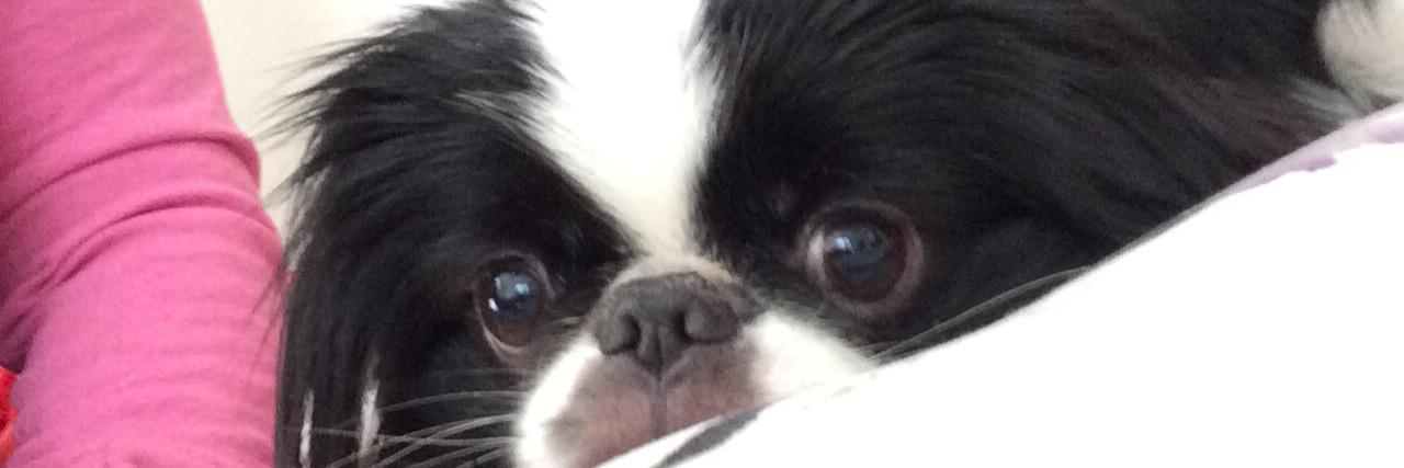 Hello_Zacharyyy's profile banner image