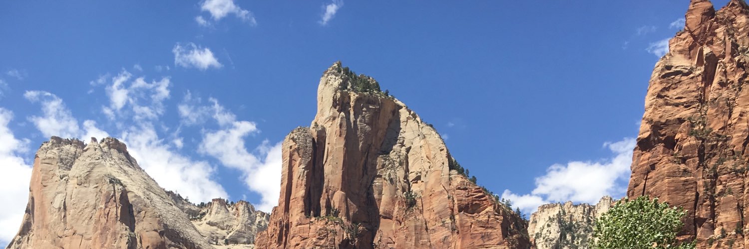 ElysePreston's profile banner image
