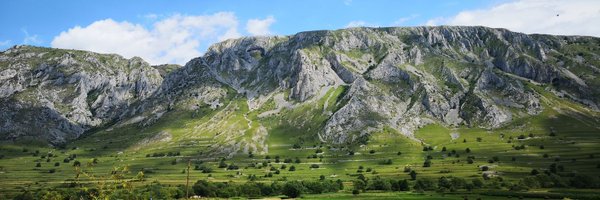 securityshell Profile Banner