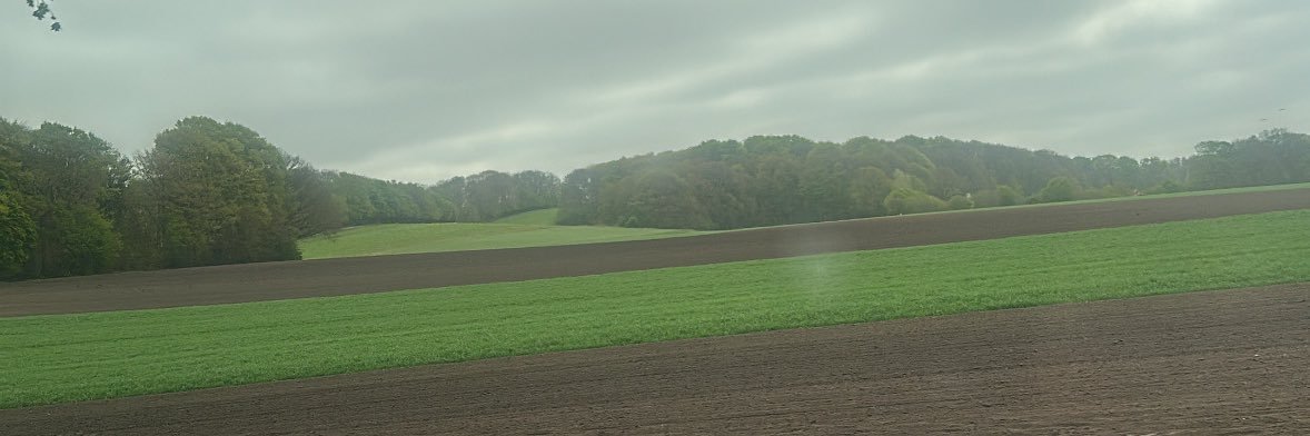 5b5q_'s profile banner image