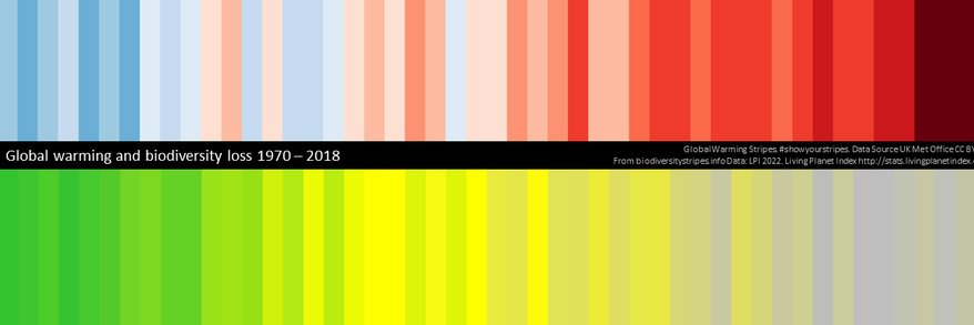 cormacDublin's profile banner image