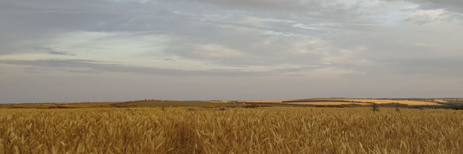 Наєбаний мічман banner