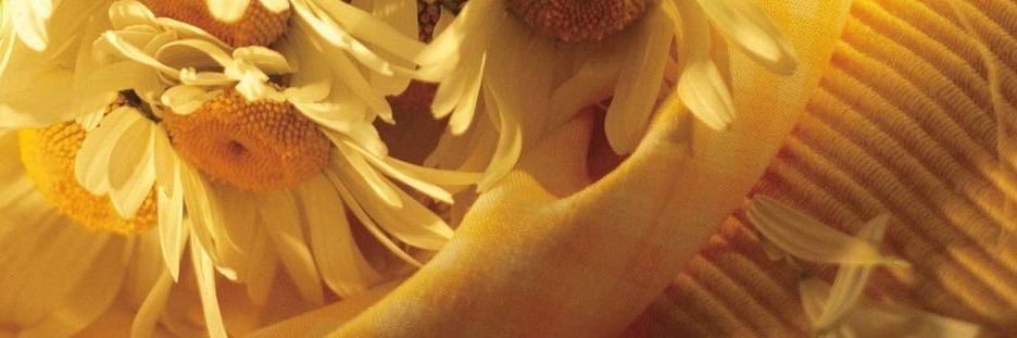 danyale ♡’s leon banner