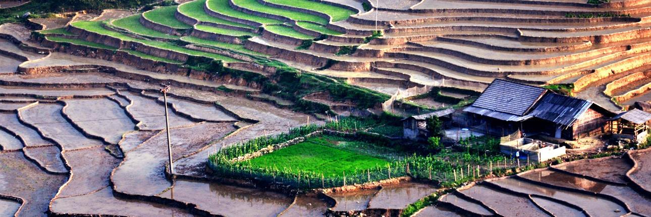 longvietnam's profile banner image