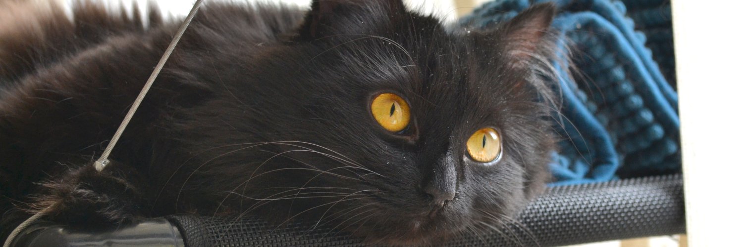 Jayne💅🏼🧖‍♀️ banner